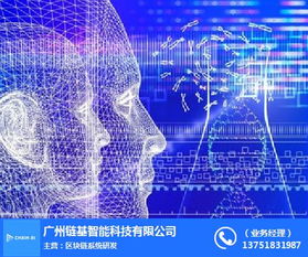 链基智能 深耕人工智能信息系统集成服务，引领未来科技变革